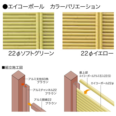 カラー・組立図