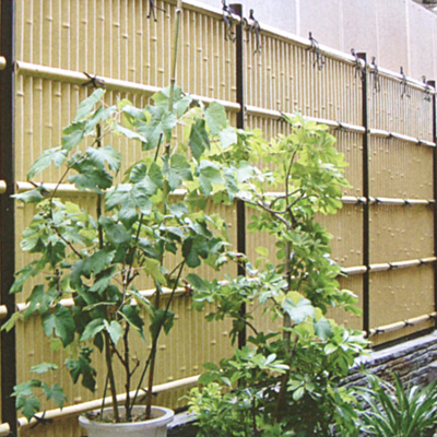エイコー竹垣材料セット11型 建仁寺垣ボード 片面張 写真