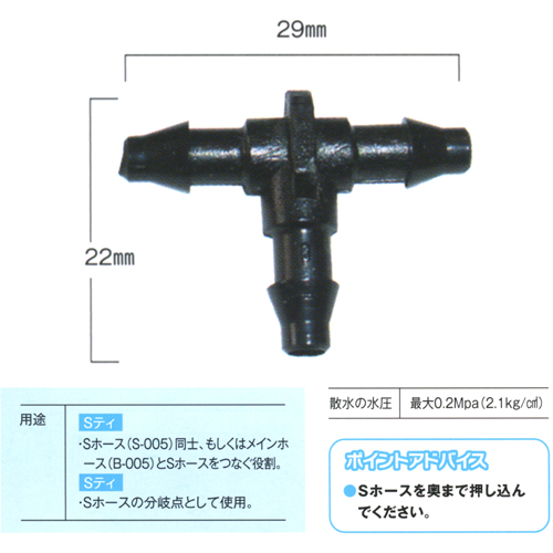 Sティ 写真